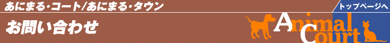 ₢킹