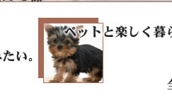 ybgƊy炵