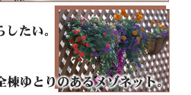 SƂ̂郁]lbg