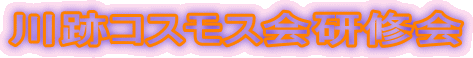 ��ՃR�X���X��C��