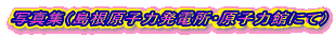 �ʐ^�W�i�������q�͔��d���E���q�͊قɂāj