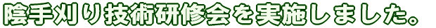 A芠ZpC{܂B 