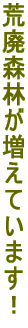 rpXтĂ܂I