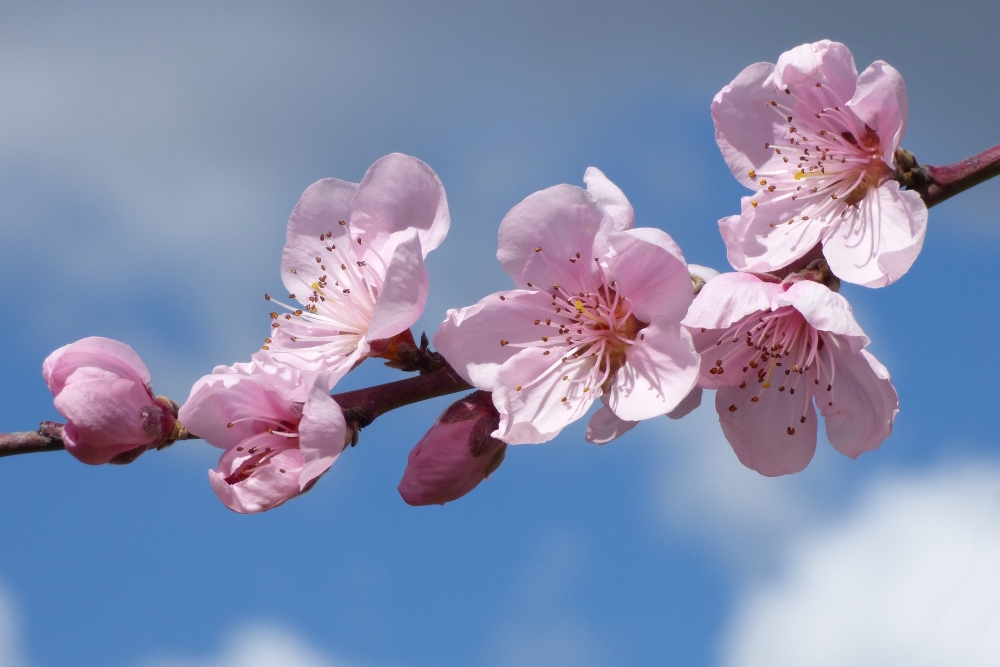 いずも情報ランドのトップページ画像です。